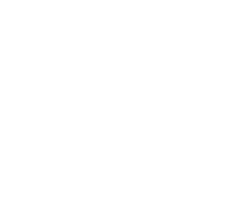 Demon Slayer